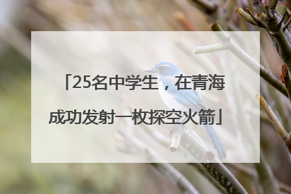 25名中学生，在青海成功发射一枚探空火箭