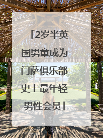 2岁半英国男童成为门萨俱乐部史上最年轻男性会员