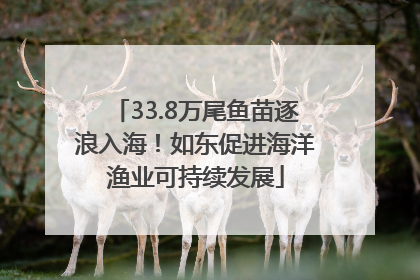 33.8万尾鱼苗逐浪入海！如东促进海洋渔业可持续发展