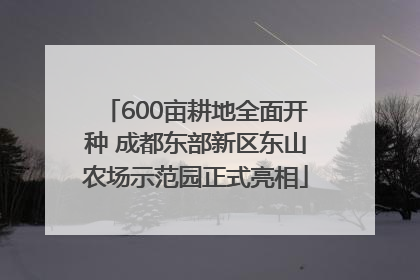 600亩耕地全面开种 成都东部新区东山农场示范园正式亮相